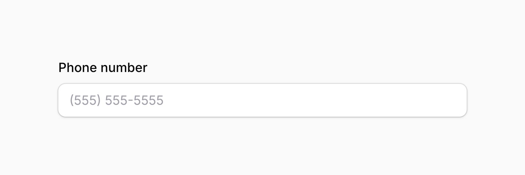 Text input with mask